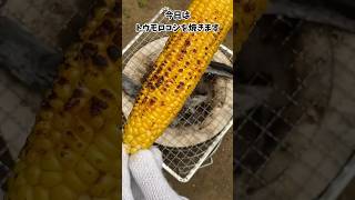 【炭火焼】夏休みに見る動画　トウモロコシ　#飯テロ #bbq #shorts