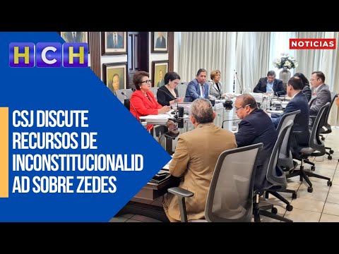 CSJ discute Recursos de Inconstitucionalidad sobre ZEDES, y el decreto ley sobre Amnistía Política