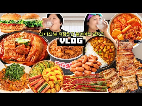 입 터진날 작정하고 털어버린 냉장고🐚 먹방 브이로그 | 당면김치찌개 돼지갈비 지지고 컵밥 실비김치 카레 롯데리아 햄버거 소라무침 모둠전 떡 소세지 <strong>떡갈비</strong> Mukbang VLOG