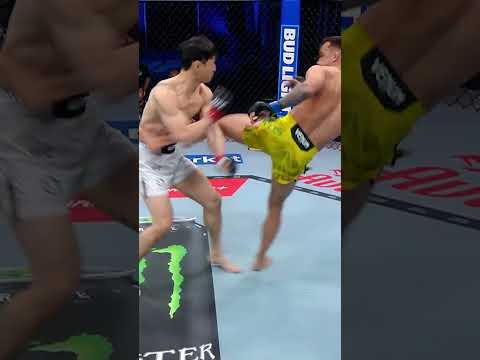 코리안 킬러를 지워버린 슈퍼보이 최두호