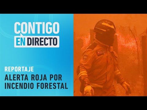 ¡FUE INTENCIONAL! Conaf confirmó inicio de incendio de Lago Peñuelas  - Contigo en Directo