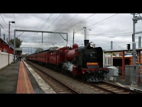Steamrail Lilydale - Ringwood Steam Shuttles at Croydon