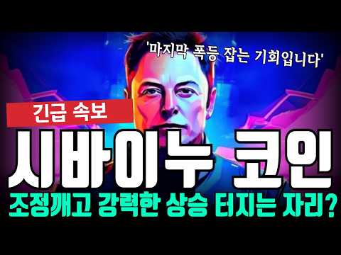 시바이누 코인 <strong>조정</strong> 깨고 결국 강력한 상승 나올 수 밖에 없습니다