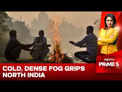 North India Cold Wave | North India Shivers: Cold Wave, Fog Disrupt Daily Life