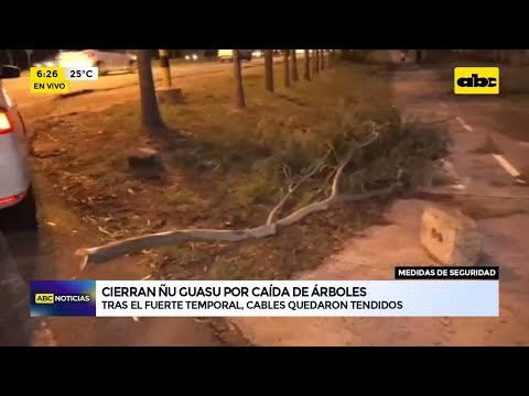 Luego de fuerte temporal, cierran el Parque Ñu Guasu por seguridad