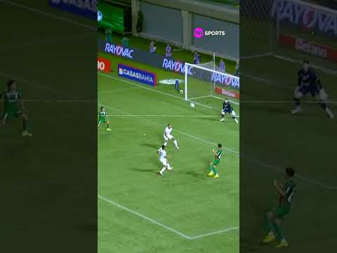 FEZ O "X"! GOLEIRO DO GUARANI IMITA DEFESA DE HANDALL E IMPEDE GOL DO PALMEIRAS #shorts