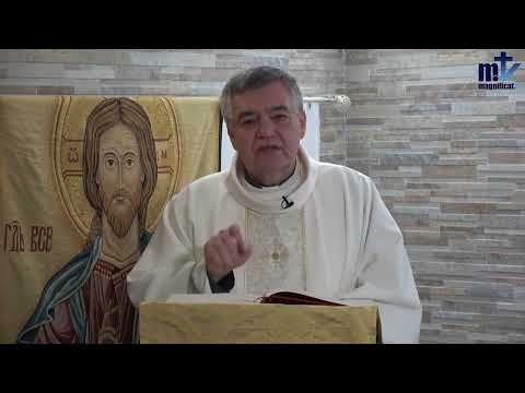 Homilía de hoy | SAN ISIDORO, obispo y doctor de la Iglesia | 26-04-2024 | Pbro. Santiago Martín, FM