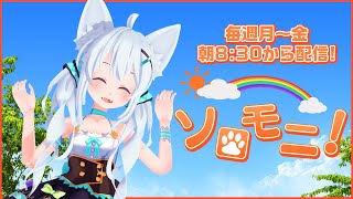 【朝活☀ソロモニ】2025/6/17(火)おはソロ～！！初見さんも大歓迎だよ♪