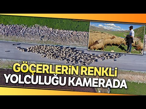 Göçerlerin Renkli Yolculuğu Havadan Görüntülendi