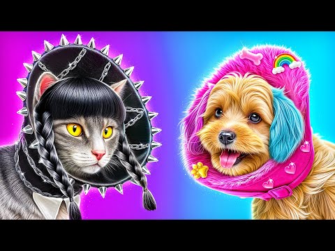 ウェンズデーVSイーニッド！家づくりはどっちがじょうず？