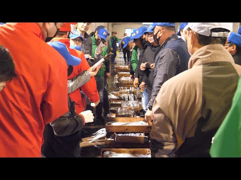 갈치로 연매출 35억! 매일 바로잡은 갈치로 만드는 갈치 전문점 Spicy hairtail fish stew, grilled belt fish - Korean street food