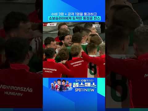 여기서 알이 4개 까지네 ㄷㄷ 