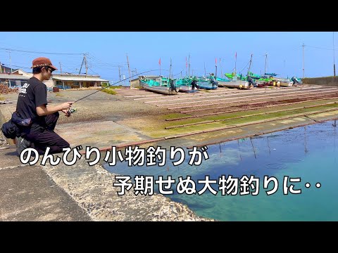 港でのんびり小物釣りのはずが‥足元の暗がりに潜む大物を釣り上げた！