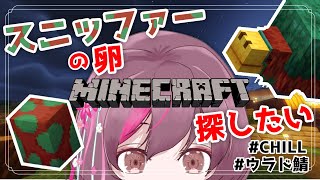 【 Minecraft 】ごしごし、卵探し【 まったり配信  】
