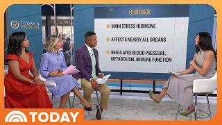 Thumbnail for the video "What Different Cortisol Levels Mean for Your Health" from TODAY