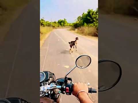 #love #music #tamilcinema #dance #lifeisbutadream #natureimages #travel #bikelover #soloride