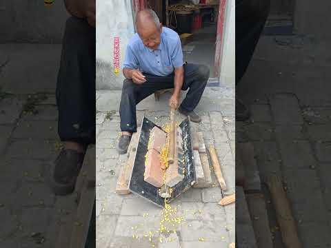 Tips for shelling corn 😂 #CornShelling