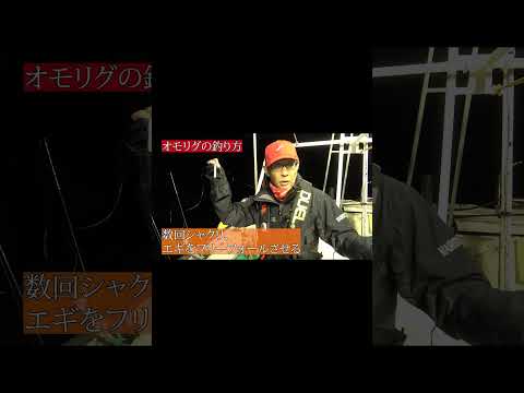 オモリグ解説! #オモリグ #イカメタル #ヤリイカ #ケンサキイカ #イカリーダー