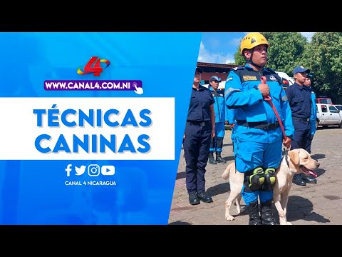 Bomberos de Nicaragua fortalecen habilidades de rescate con técnicas caninas
