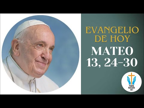 ? Evangelio de HOY - MATEO 13, 24-30 con la reflexión del Papa Francisco  | 27 de Julio