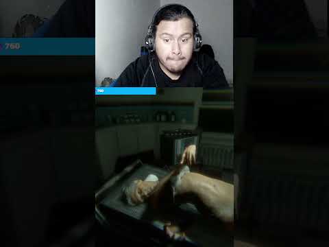 猫の動画サムネイル - NUNCA TRABAJES EN UNA MORGUE #juegosdeterror #horror #horrorgames #sustos #susto