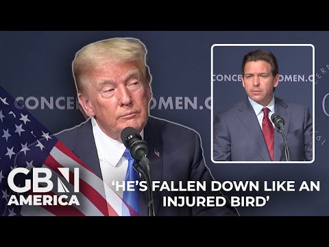 'He's fallen like an injured bird' | Trump calls Ron 'DeSanctimonious' DeSantis 'a failed candidate'