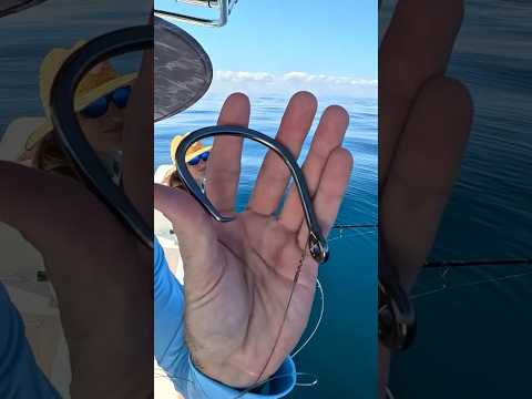 BIG HOOK BIG BAIT BIG??? video thumbnail