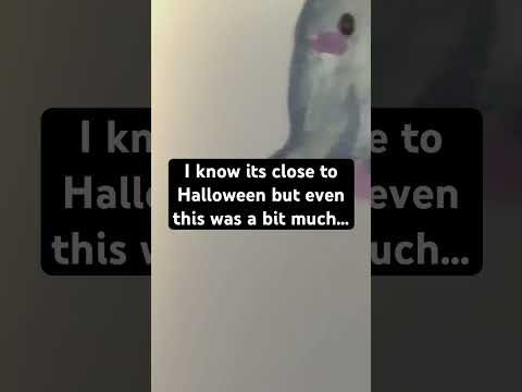 Scary drawing 👻#shorts #art #drawing #halloween #ghost #spookyseason #youngartist