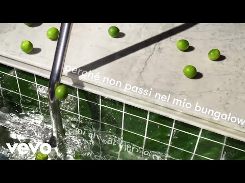 Crucchi Gang, Francesco Wilking - Il mio bungalow (Lyric Video)