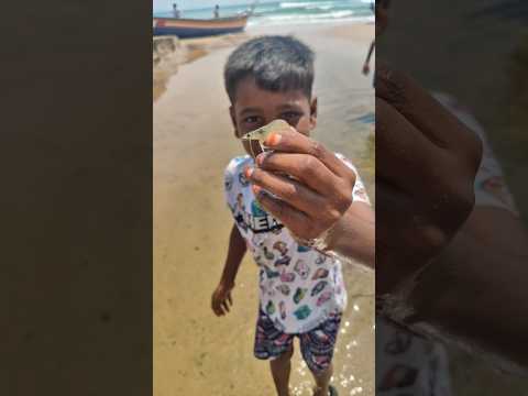 మా ఊర్లో రెండో సముద్రం #deepsea #pudimadaka #hunting #fish #localboynaveen