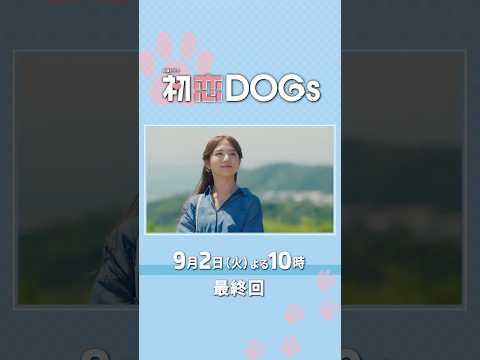 『#初恋DOGs』最終回 9/2(火)この夏､紡がれてきた国を越える愛と友情…3人が選ぶ決断とは―