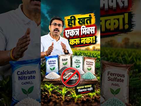 ही खतं एकत्र मिक्स करू नका! ⚠️ | DAP + Calcium Nitrate Fertilizer Compatibility #shorts #agrostar