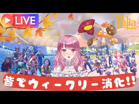 【Palia】皆でウィークリー消化しよう～♪（第61回パリアライブ配信）【パリア】【ライブ配信】