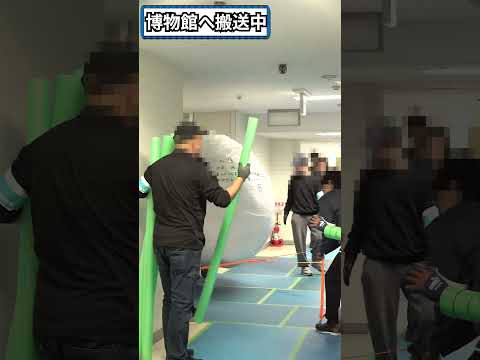 ”新” 警察博物館へ『ヘリのお引越し』【メトポリ】　#shorts #警視庁 #警察官  #メトポリ