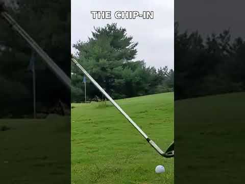 THE CHIP-IN 🤯 Birdie at Dandridge!