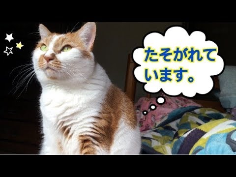 猫桜の最新動画 Youtubeランキング