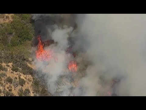 WATCH: Sky10 flies over brush fire in Del Mar