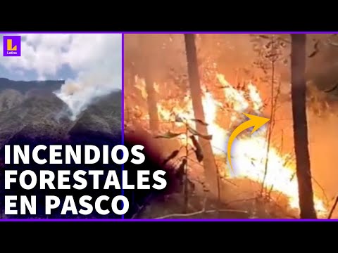 Pasco: Incendios forestales destruyen bosques de Oxapampa