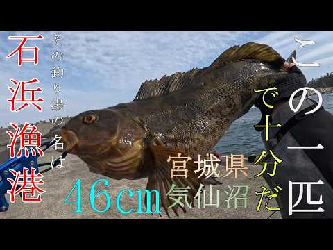 239【釣り】石浜魚港 「この一匹で十分だ その釣り場の名は」 宮城県 気仙沼市 アイナメ