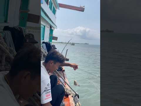 Two fish 🐠🐠#shortvideo #trending #fishing #reels #funny #cooking #food