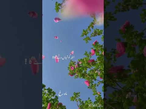 Barsan Hare Rim Jhim Rim Jhim #foryou#shorts #ytshorts #yt#mahrukh000#shortvideo#quotes#trending