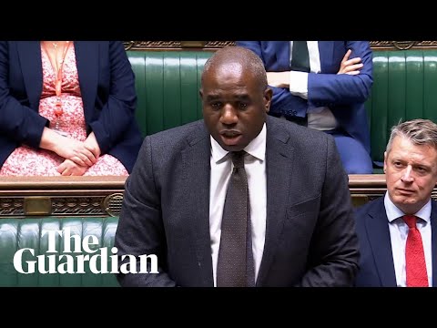 David Lammy addresses Air India plane crash in parliament