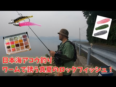 #409【ルアー】日本海でロックフィッシュ！オカッパリからバスルアーで夢のアコウを追う!!