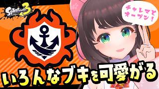 【Splatoon3】デュアルスイーパー使いがいろんなブキを使うのんびりバンカラマッチ【女性Vtuber】