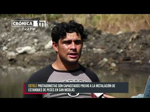 Estanque de peces: Emprendimiento exitoso en comunidades de Estelí - Nicaragua