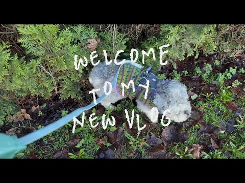 [🇨🇦 밴쿠버 브이로그] Slow Days in Vancouver | Life in Canada Vlog with Randy