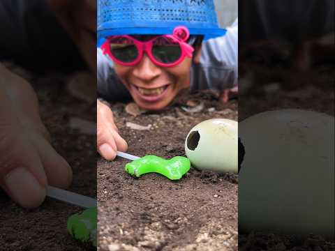 No reason, I don't care what people say, the important thing is to be happy with this millipede