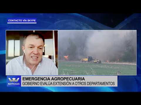 Análisis Martín Olaverry: Gobierno evalúa extensión de emergencia agropecuaria a otros departamentos