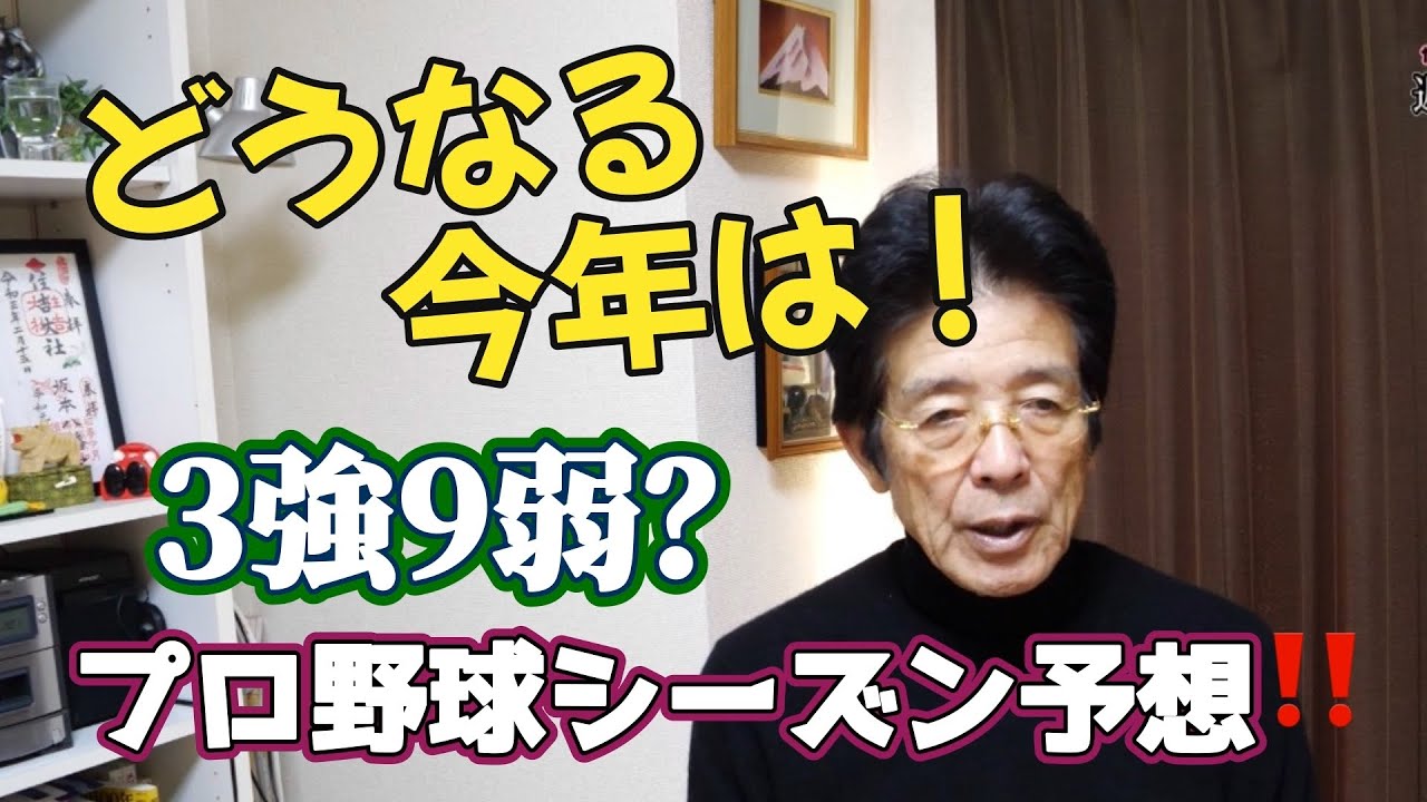 プロ野球順位予想‼️〝３強９弱〟