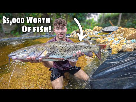 My $5000 Exotic Fish Collection Have a New Home!